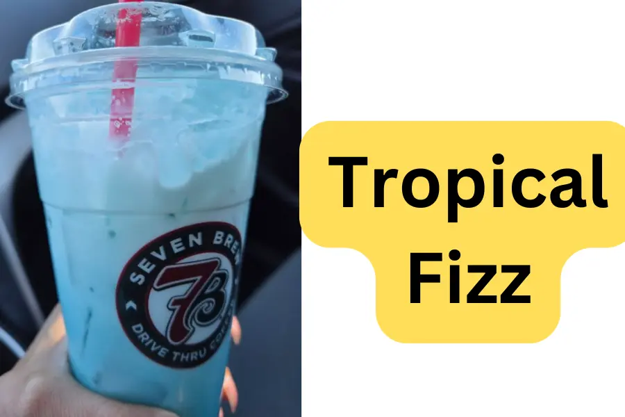 7 Brew Fizz Recipe Variations