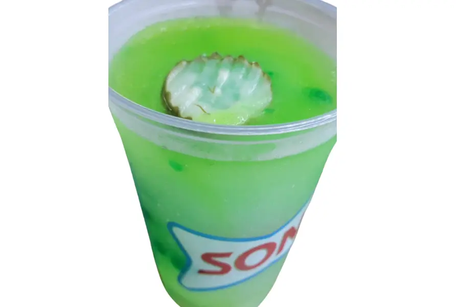 Sonic Picklerita
