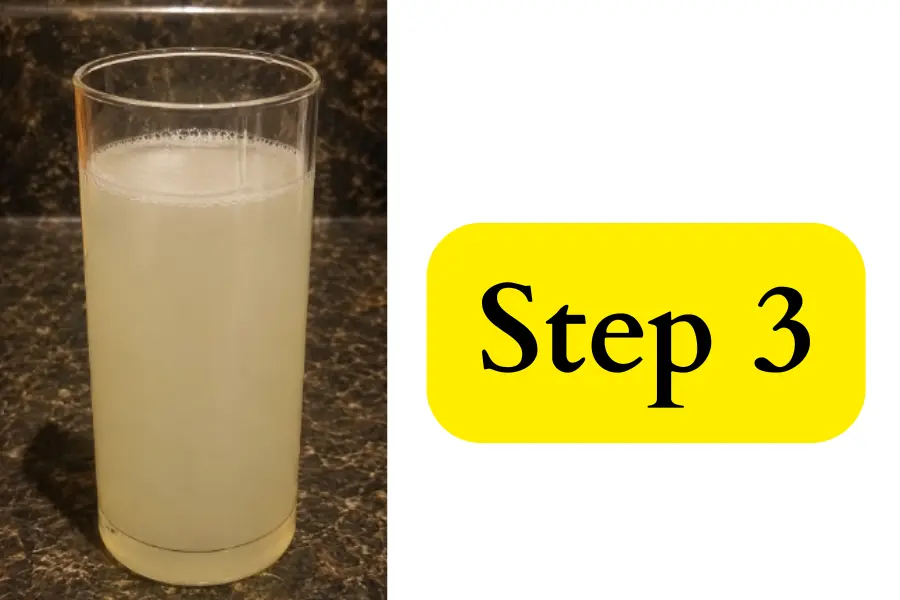 Sparkling Coconut Water recipe step 3